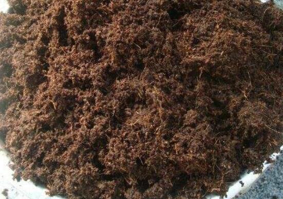 多肉最简单的配土办法，5种配方教会你如何给多肉配土