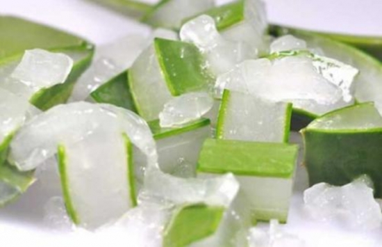 哪些多肉可以吃：常见有仙人掌属、芦荟、石莲花、石生花属等