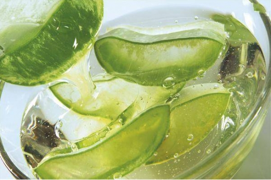 哪些多肉可以吃：常见有仙人掌属、芦荟、石莲花、石生花属等