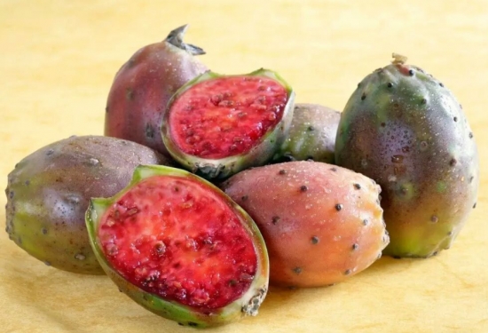 哪些多肉可以吃：常见有仙人掌属、芦荟、石莲花、石生花属等