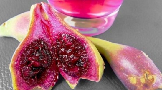 哪些多肉可以吃