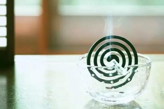 多肉植物急救办法，赶紧收藏！