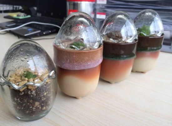 十二卷的闷养技巧：闷养技巧的具体介绍