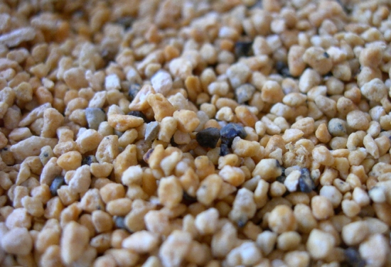 鹿沼土 最好的多肉铺面是什么:没有最好,只有最合适