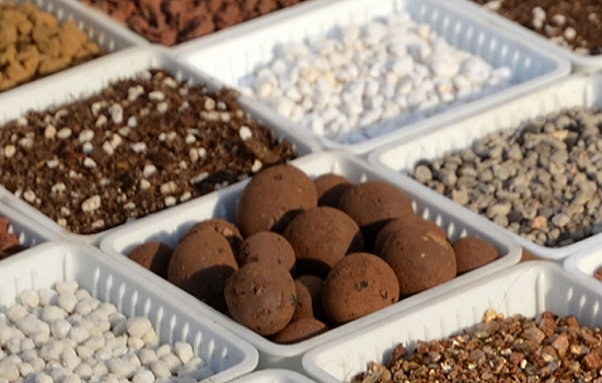 赤玉土和鹿沼土那个好用：没有那个最好的,只有适合的才是最好的