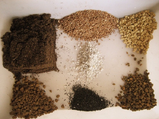 多肉播种如何配土：多肉播种的三种配土方案介绍