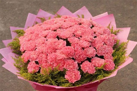 夏季的花有哪些，盘点十种夏季开放的花卉