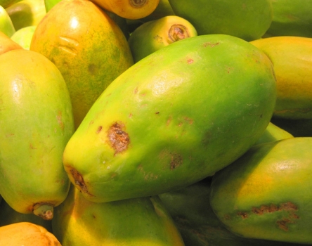 如何挑选木瓜：辨别熟度,胶质,瓜肚