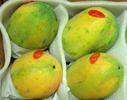 如何挑选木瓜：辨别熟度,胶质,瓜肚