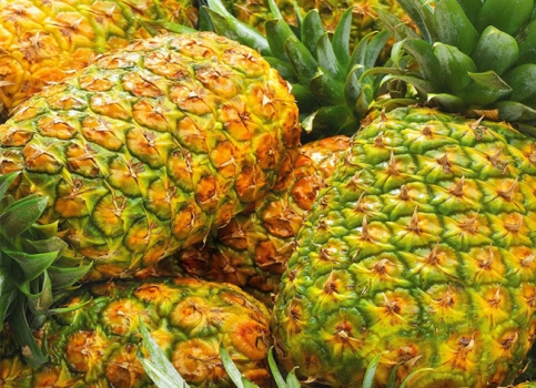 如何挑选菠萝：观形状,观颜色,摸硬度