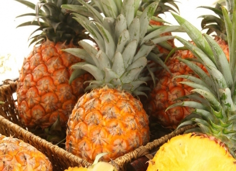 如何挑选菠萝：观形状,观颜色,摸硬度