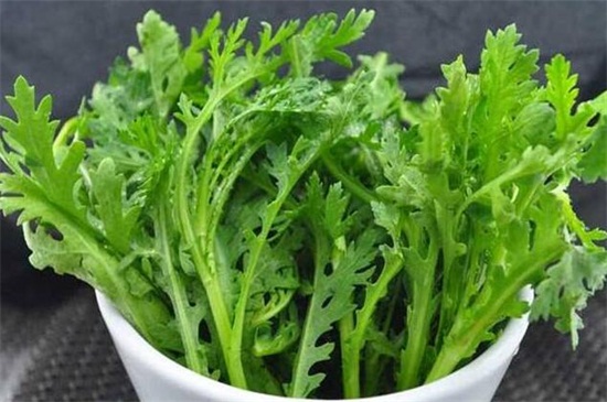 秋季种什么菜，10种生活营养蔬菜