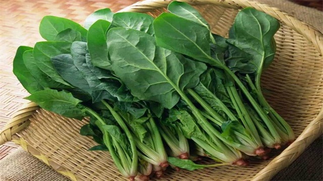 秋季有什么蔬菜