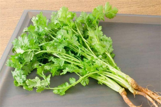 秋季有什么蔬菜