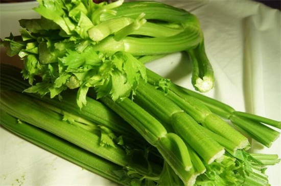 秋季有什么蔬菜