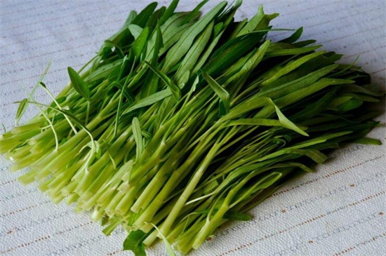 秋季有什么蔬菜