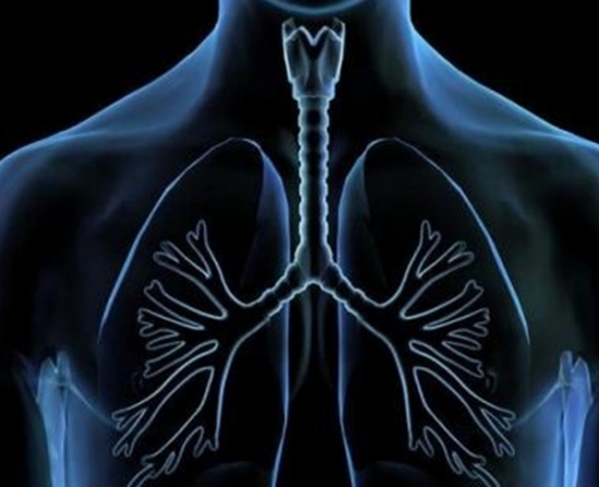 关于立秋你知道多少？