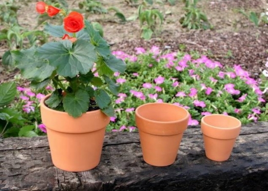 如何选择花盆：陶盆|瓷盆|塑料盆