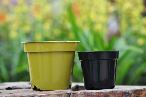 如何选择花盆：陶盆|瓷盆|塑料盆