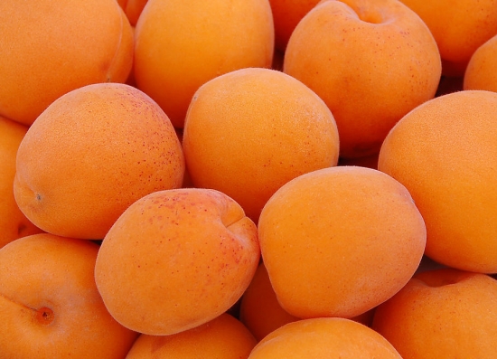 春季有什么水果