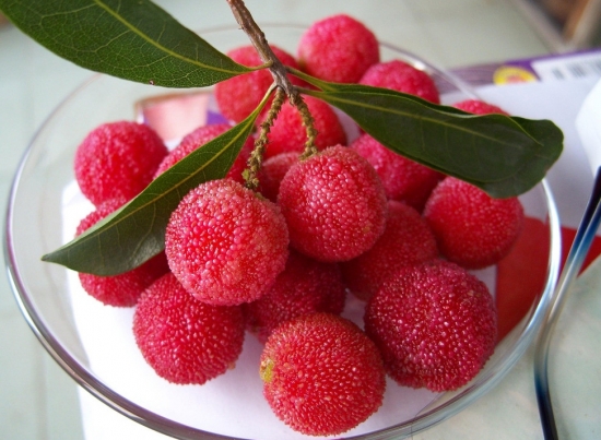 春季有什么水果