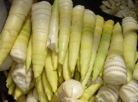 春季吃什么菜比较好