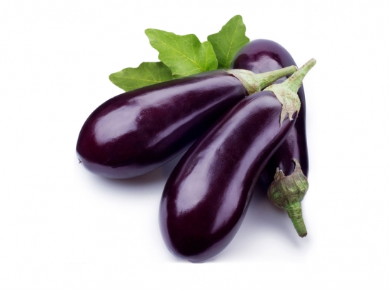 春季适合种什么菜