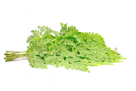 辣木的功效和作用：全身是宝