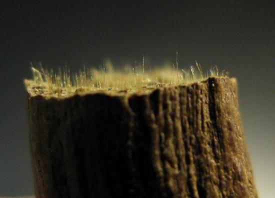 沉香与沉香木的区别，沉香的功效与作用