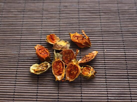 鸡蛋花盆栽如何养，手把手教你养殖鸡蛋花盆栽