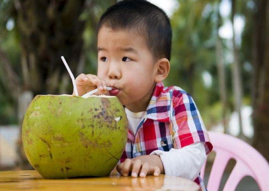 椰子 孕妇能吃椰子吗:孕妇可以食用椰子,还能预防和治疗便秘
