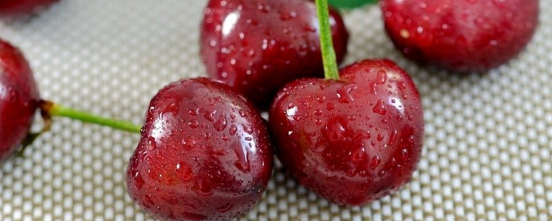 车厘子空心如何回事