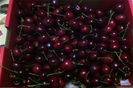 车厘子如何清洗，4种办法教你如何清洗干净车厘子