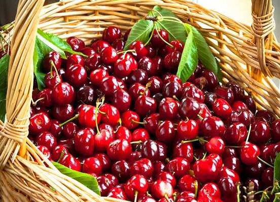 车厘子为何那么贵，外国进口运输成本高/损耗率大