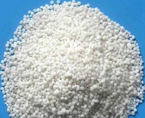 人参榕如何施肥，选对肥种把握时间留意技巧