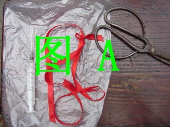 橡皮树的繁殖：有具体的组图解说