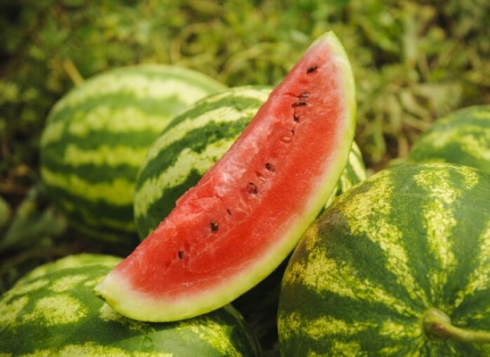 这些常见水果没驯化前居然长这样