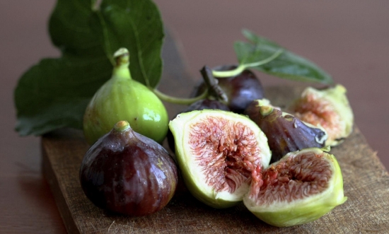 关于植物的10个冷知识，你知道多少