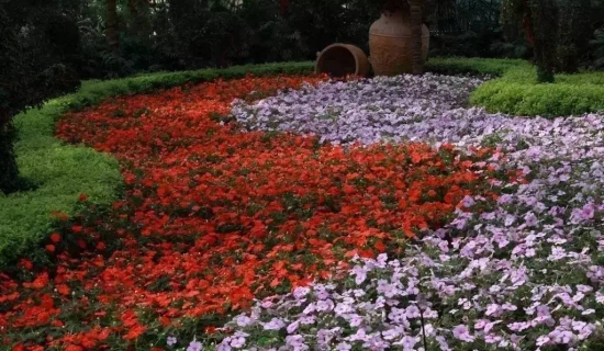 是谁，打翻了这里的春季