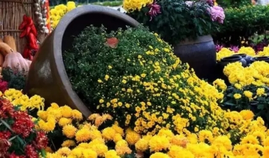 是谁，打翻了这里的春季