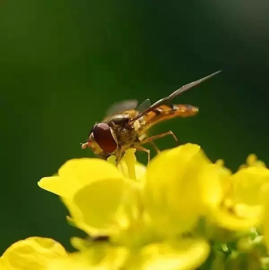 是谁，打翻了这里的春季