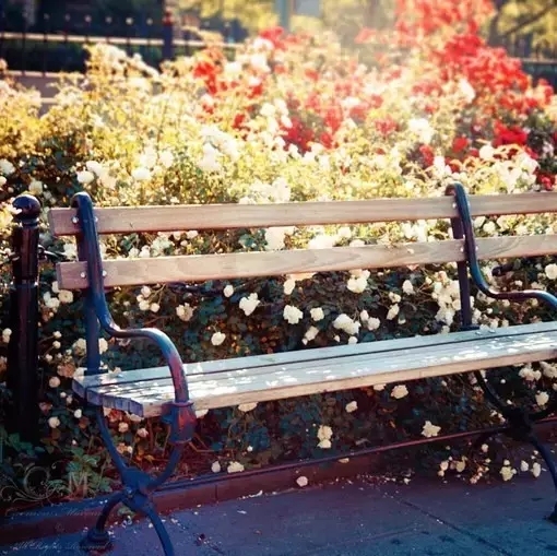 是谁，打翻了这里的春季