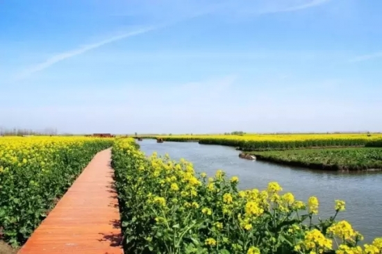 是谁，打翻了这里的春季