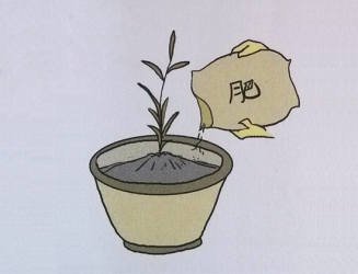 花卉生长条件：五方面,每方面都很重要