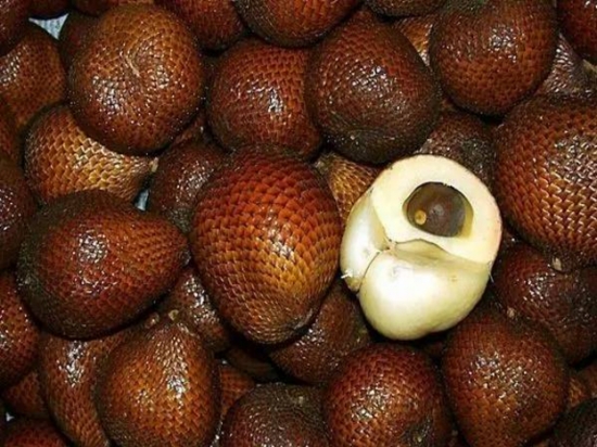 蛇皮果好吃吗？蛇皮果如何吃最好？