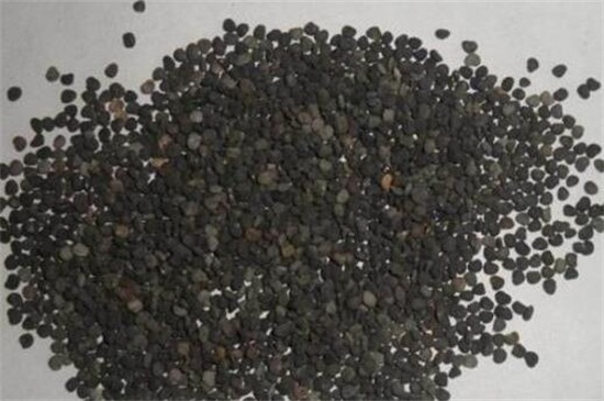 曼陀罗多少钱一斤，大约为80～90元一斤