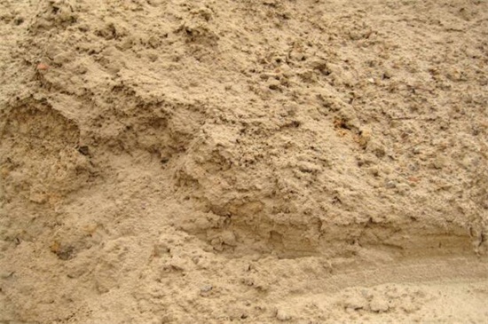 仙人球如何才能爆头,切掉顶端/针扎顶端