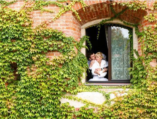 常春藤水培养植办法,留意三个要点养殖出美丽的常春藤