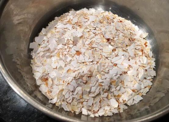 吊兰为何要放鸡蛋壳，增加磷化钙/让吊兰更加旺盛