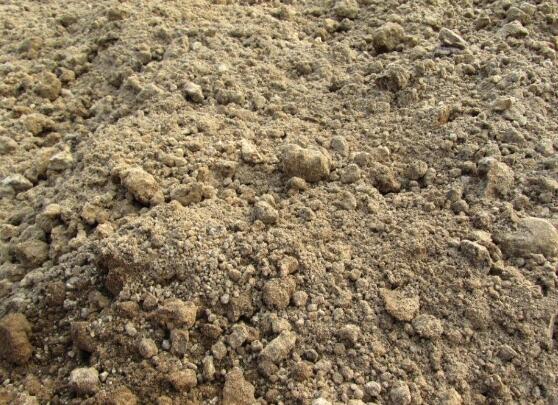 吊兰为何要放鸡蛋壳，增加磷化钙/让吊兰更加旺盛